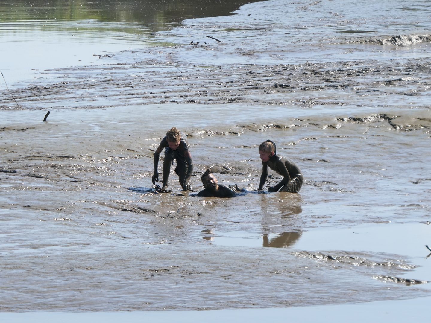 P1810841